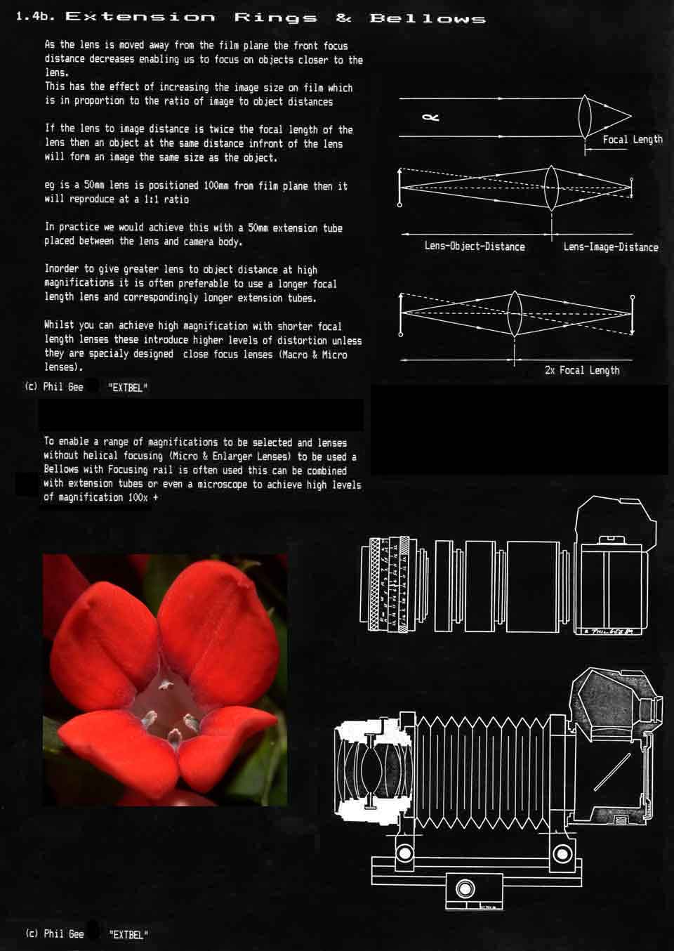 Extension Rings © Phil Gee
