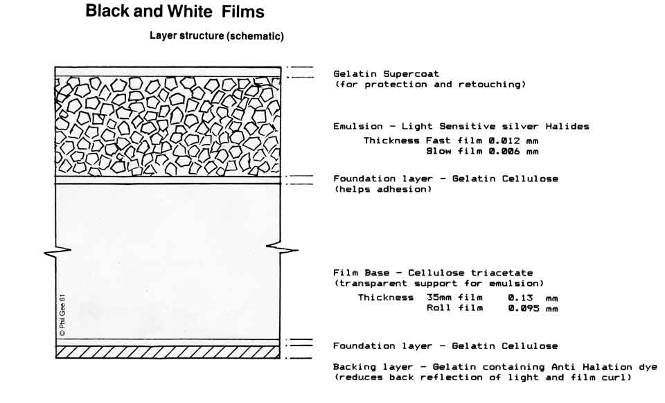 B&W Film © Phil Gee