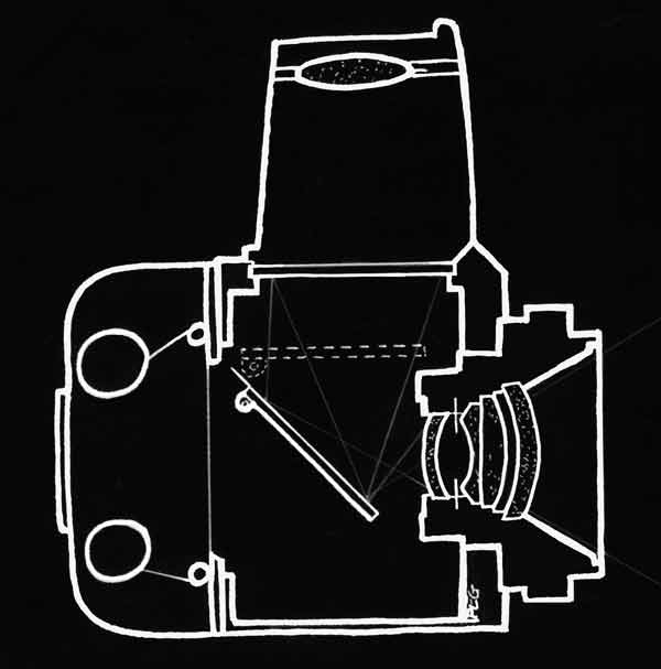 Medium Format © Phil Gee