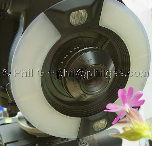 Ext Tubes + 3§mm and Ring Flash© Phil Gee