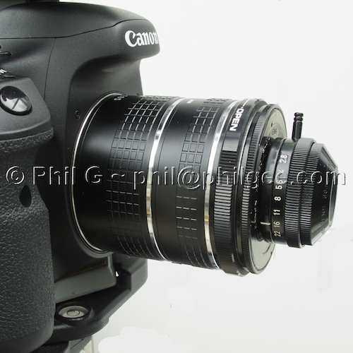 Ext Tubes + 3§mm and Ring Flash© Phil Gee