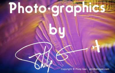 Nomarski DIC © Phil Gee